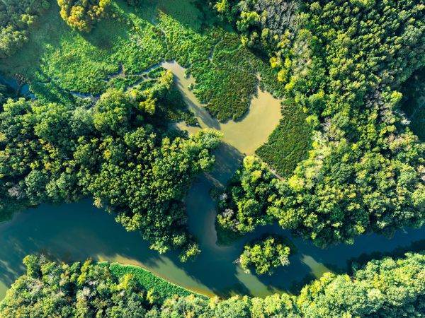 Biodiversitatea, în impas: ONU avertizează că omenirea nu este pe drumul cel bun